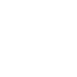 Quest Show в Москве