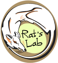 Rat's Lab в Архангельске
